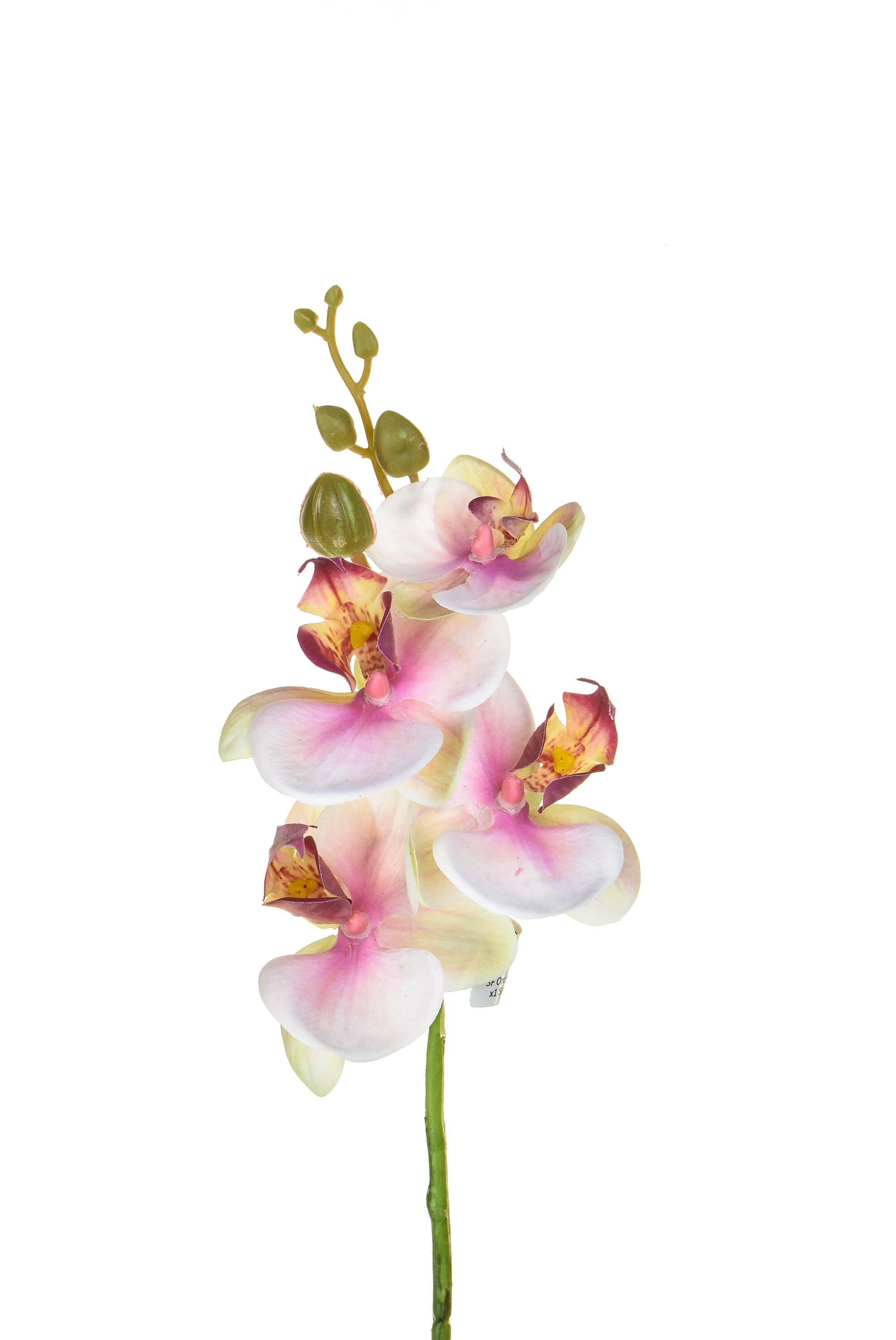 Artificial Silk Phalaenopsis, Small