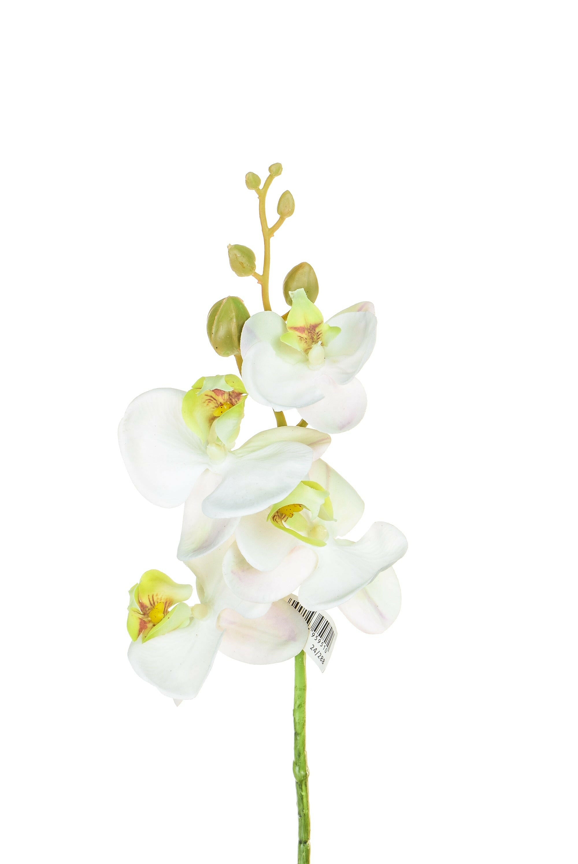 Artificial Silk Phalaenopsis, Small