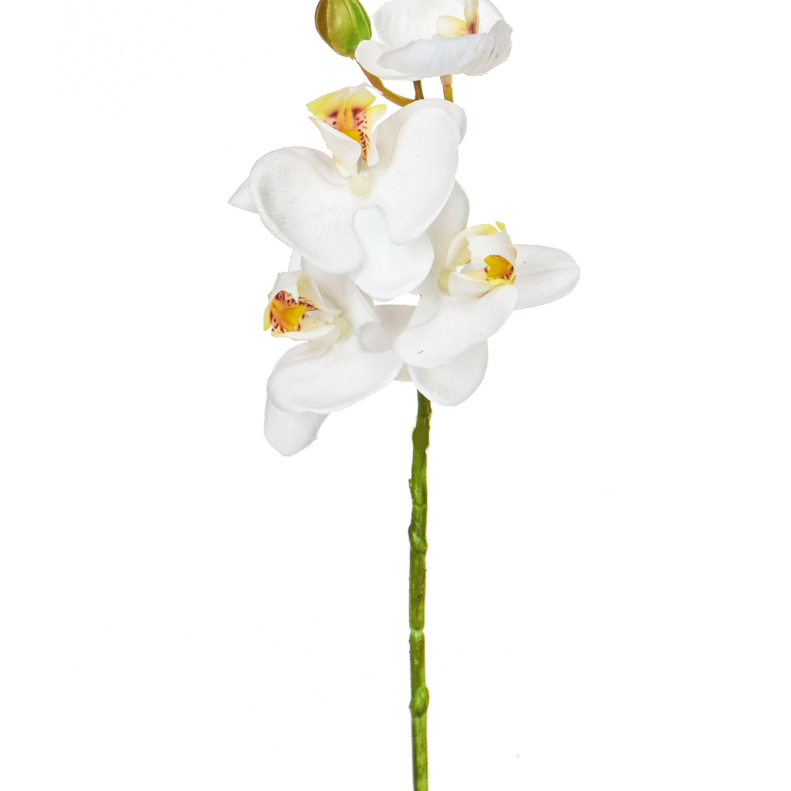 Artificial Silk Phalaenopsis, Small