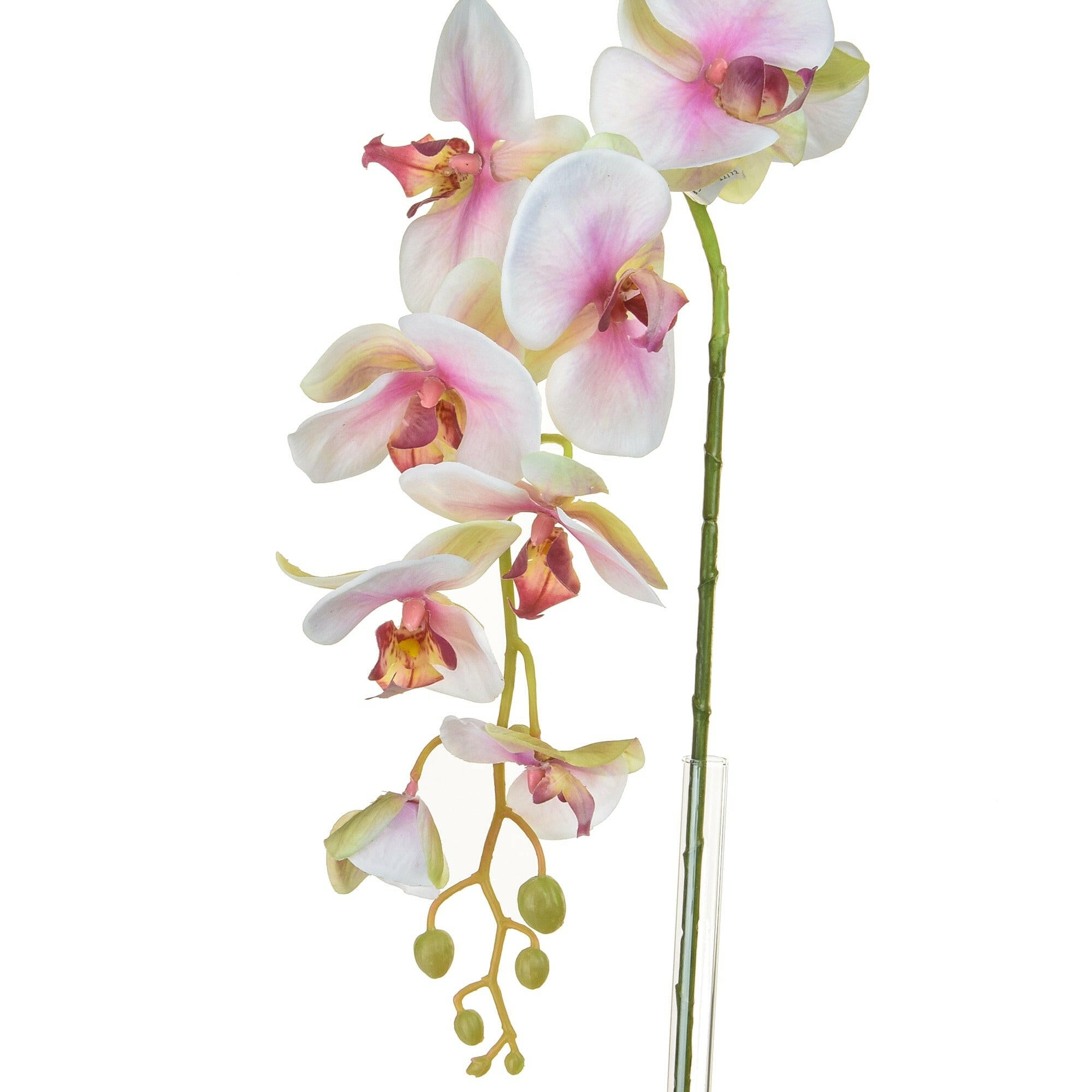 Artificial Silk Phalaenopsis, Medium