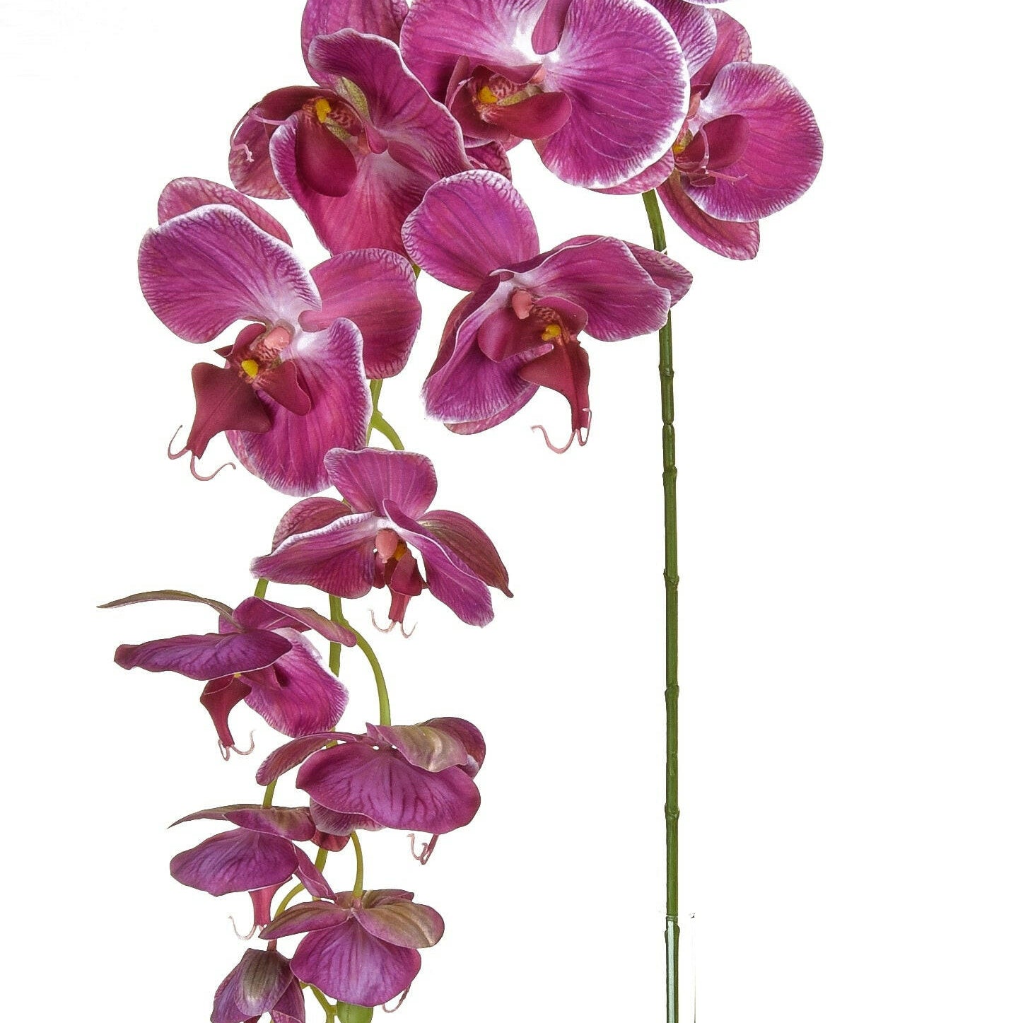 Artificial Silk Phalaenopsis, Large