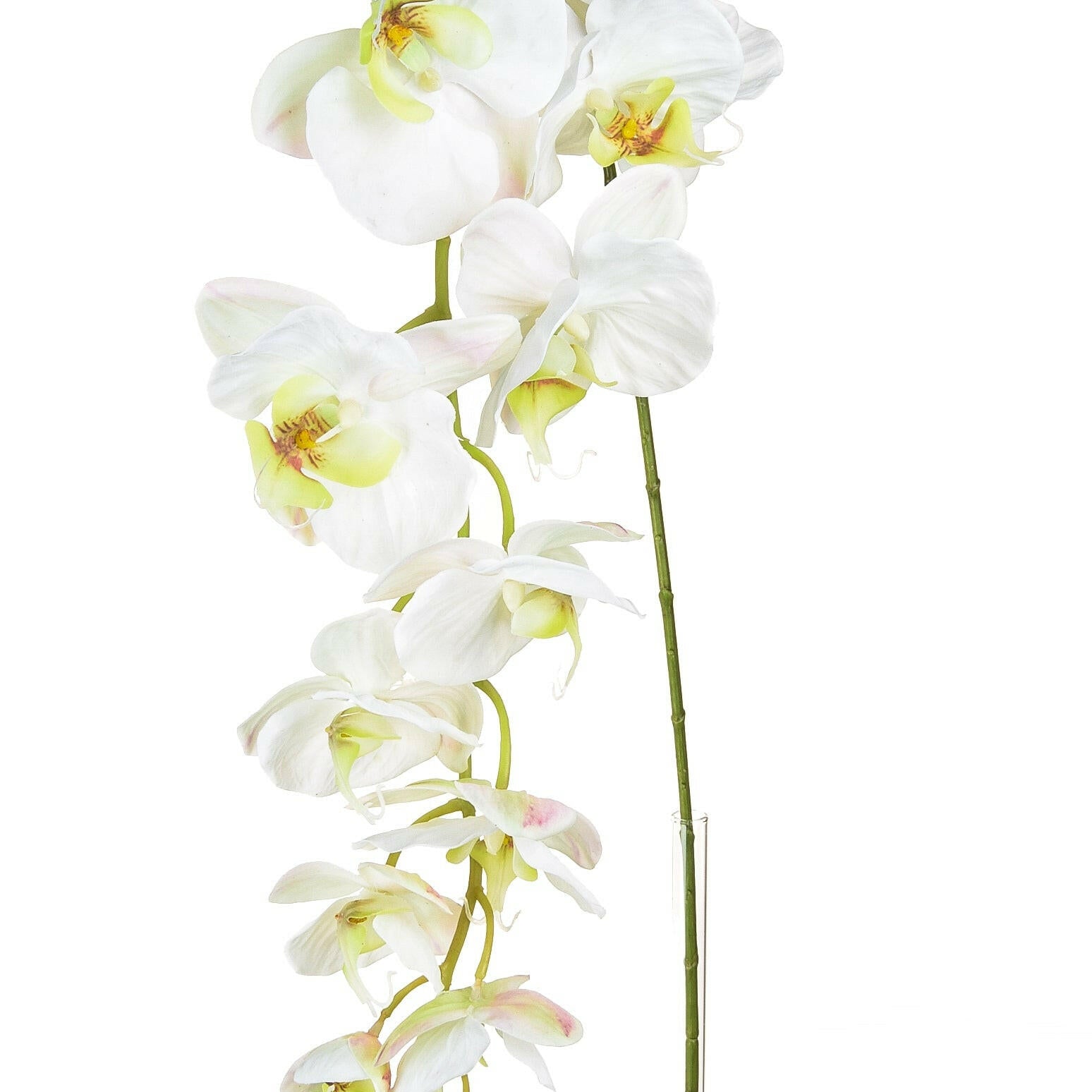 Artificial Silk Phalaenopsis, Large