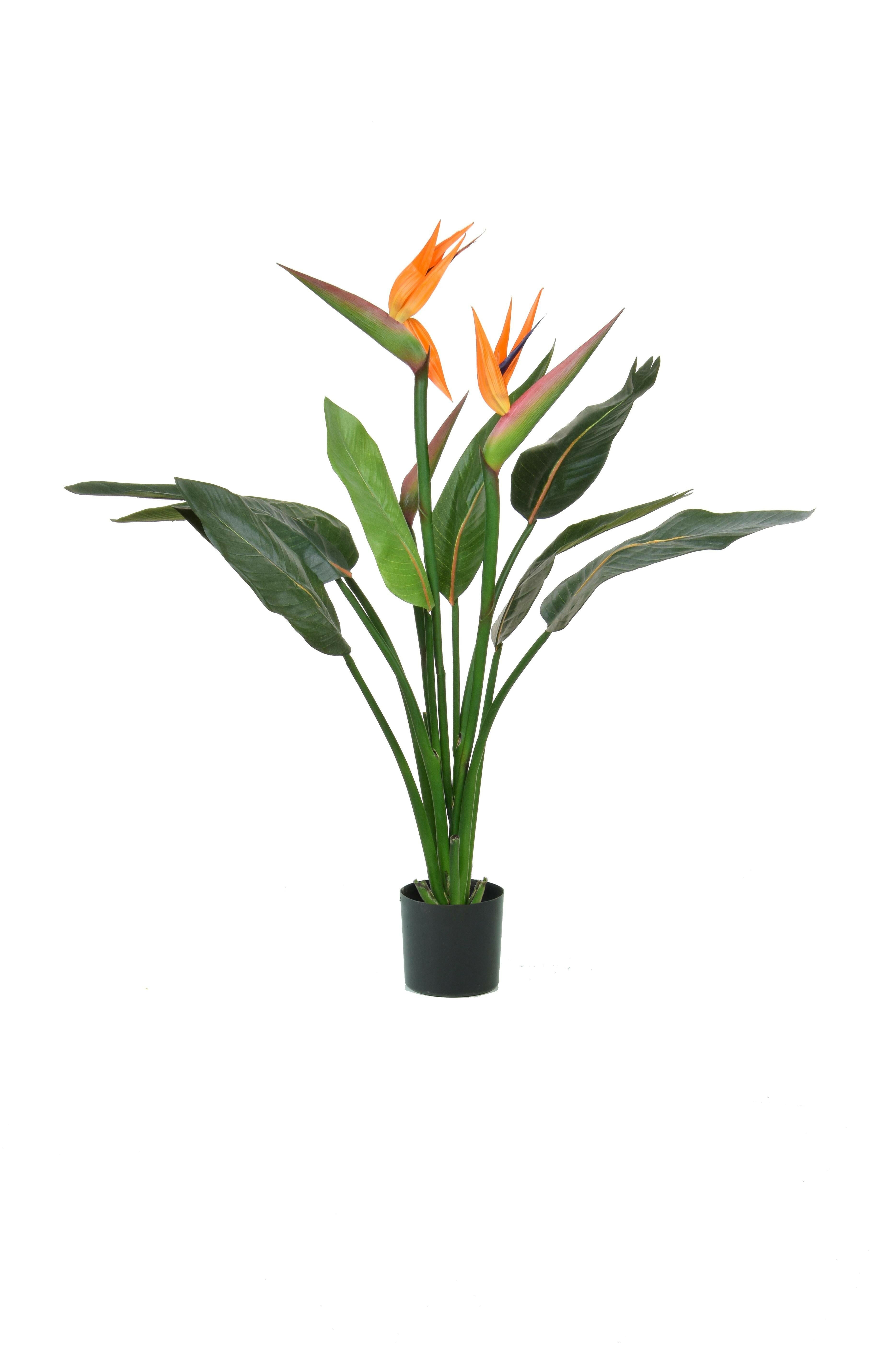 Artificial silk plants discount