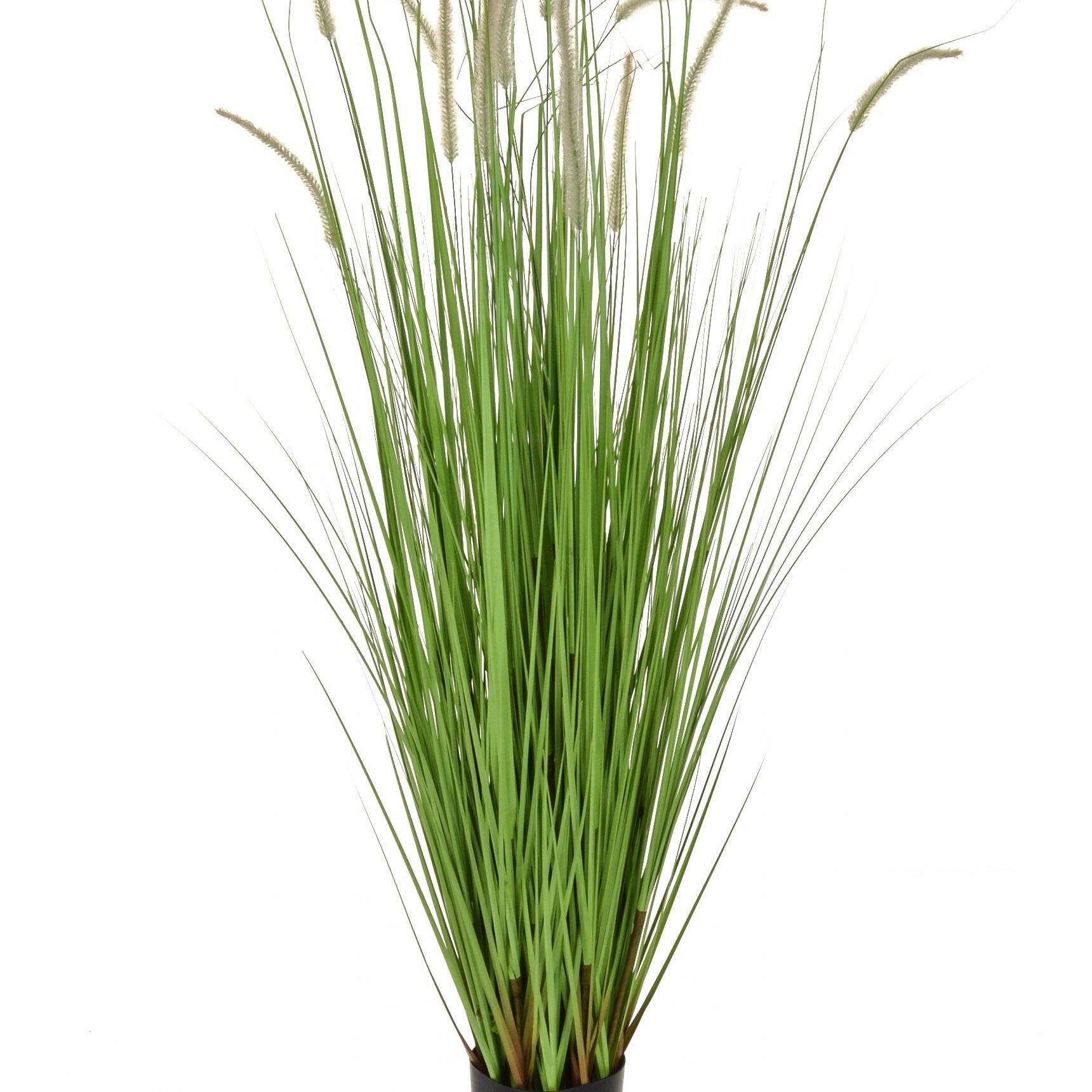 Artificial Dogtail Grass