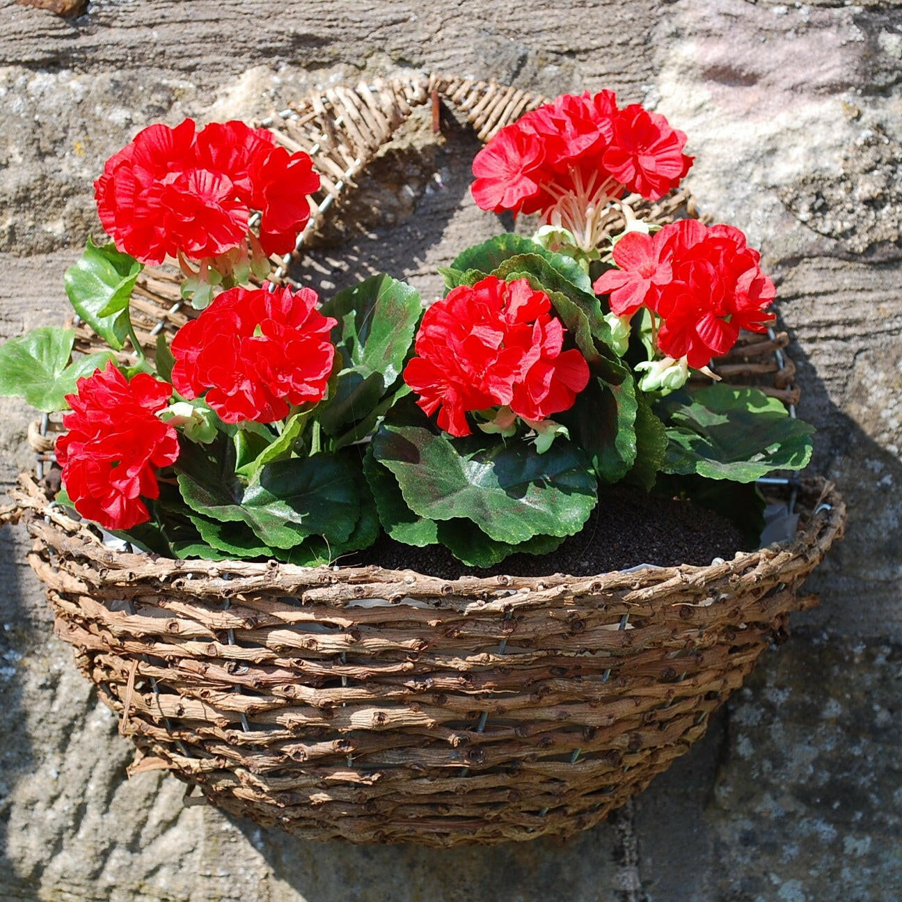 A customers basket in situ, note this is the previous Brown coloured basket