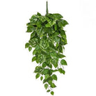 Artificial Pothos Garlands Trail FR UV