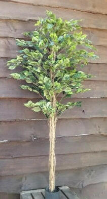 Artificial Silk Ficus Tree FR