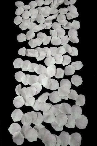 Artificial Silk Wedding Aisle Petal Trail