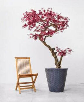 Luxury Artificial Silk Bespoke Bonsai Maple Tree Deluxe on Coffee Stem in Pot