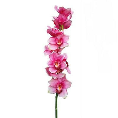 Artificial Silk Orchid Cymbidium