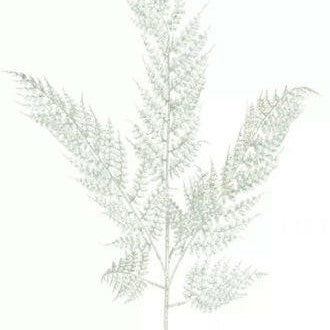 Artificial Glittered Leather Fern 