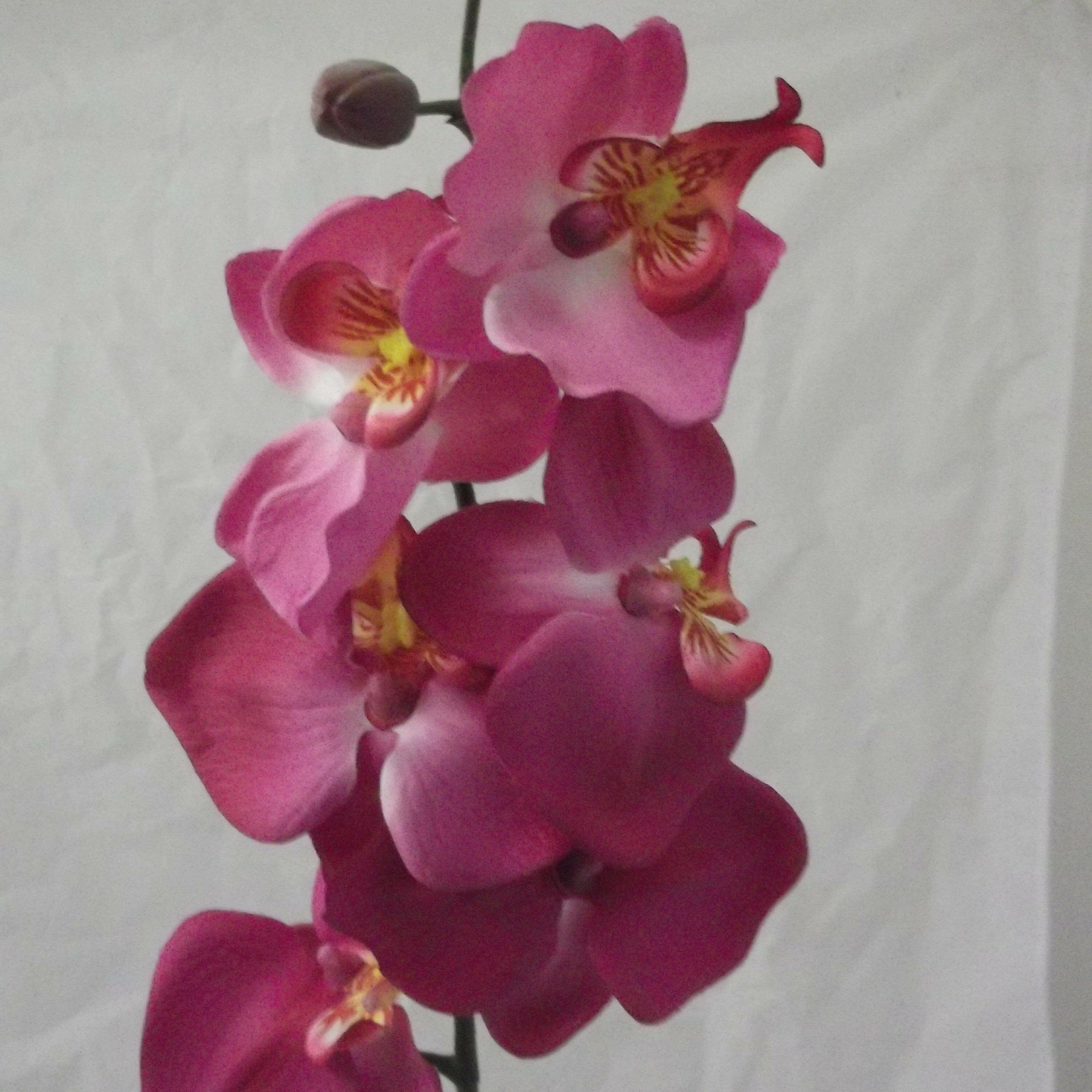 Artificial Silk Phalaenopsis Moth Orchid Spray