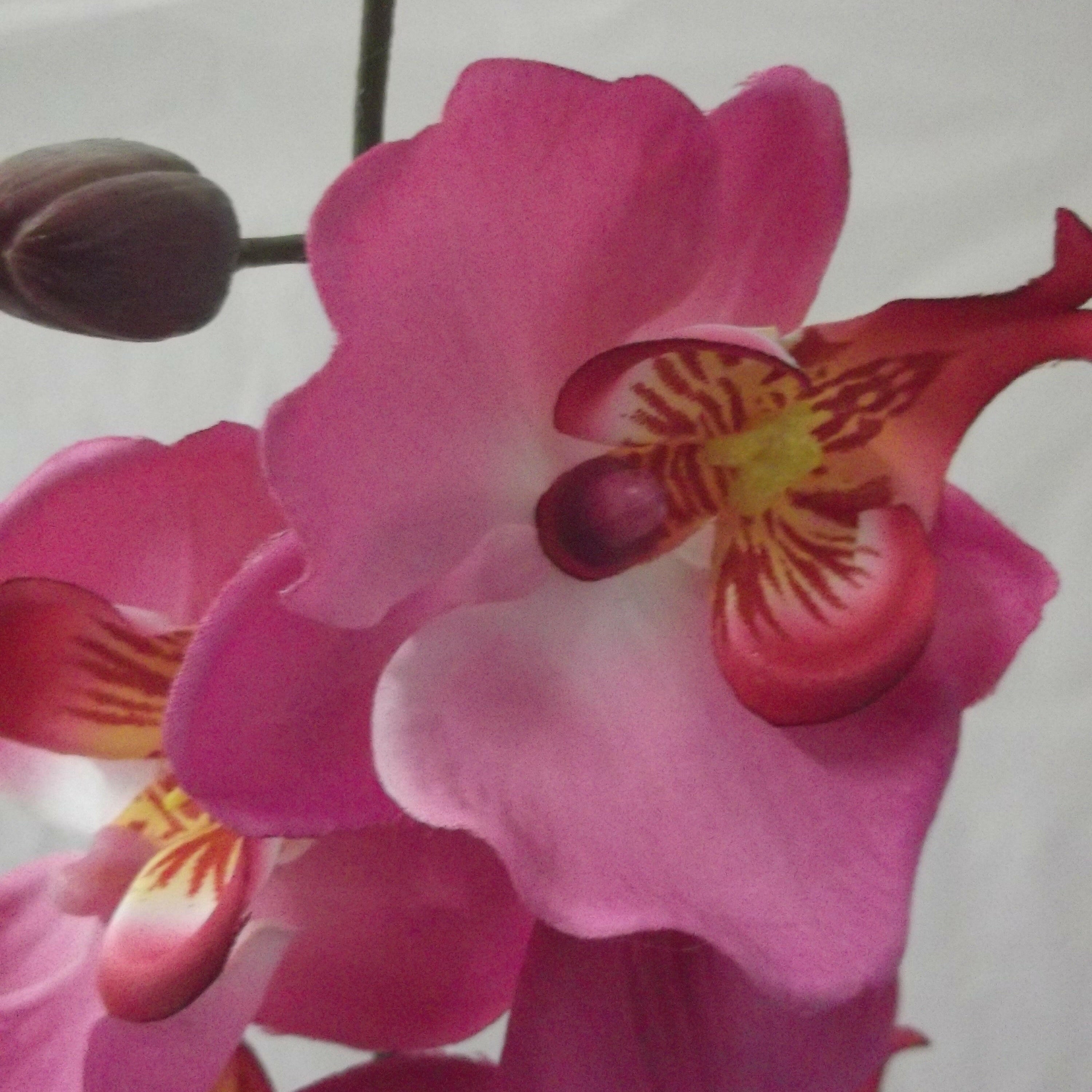 Artificial Silk Phalaenopsis Moth Orchid Spray