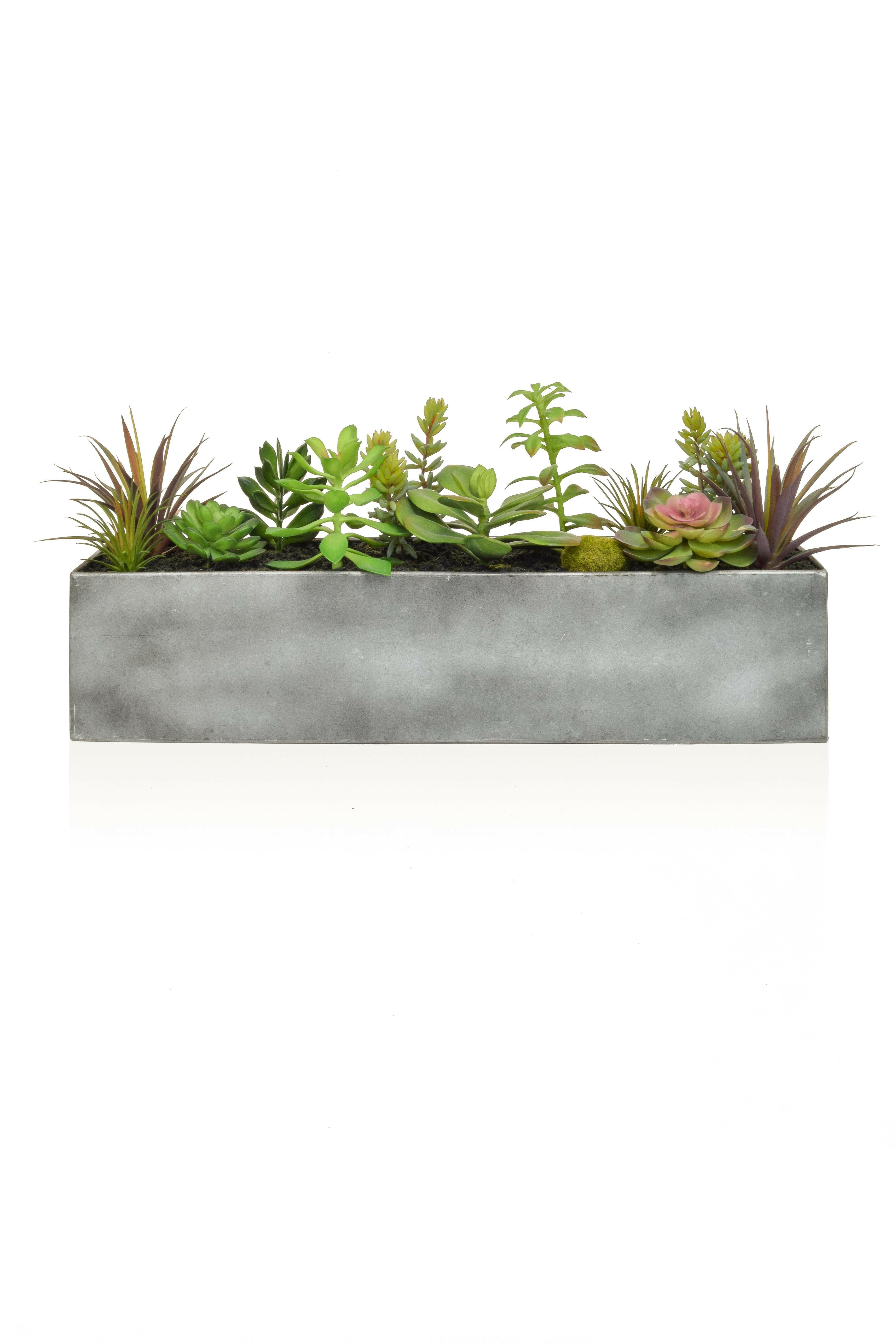 Artificial Mixed Succulents In Steel Trough