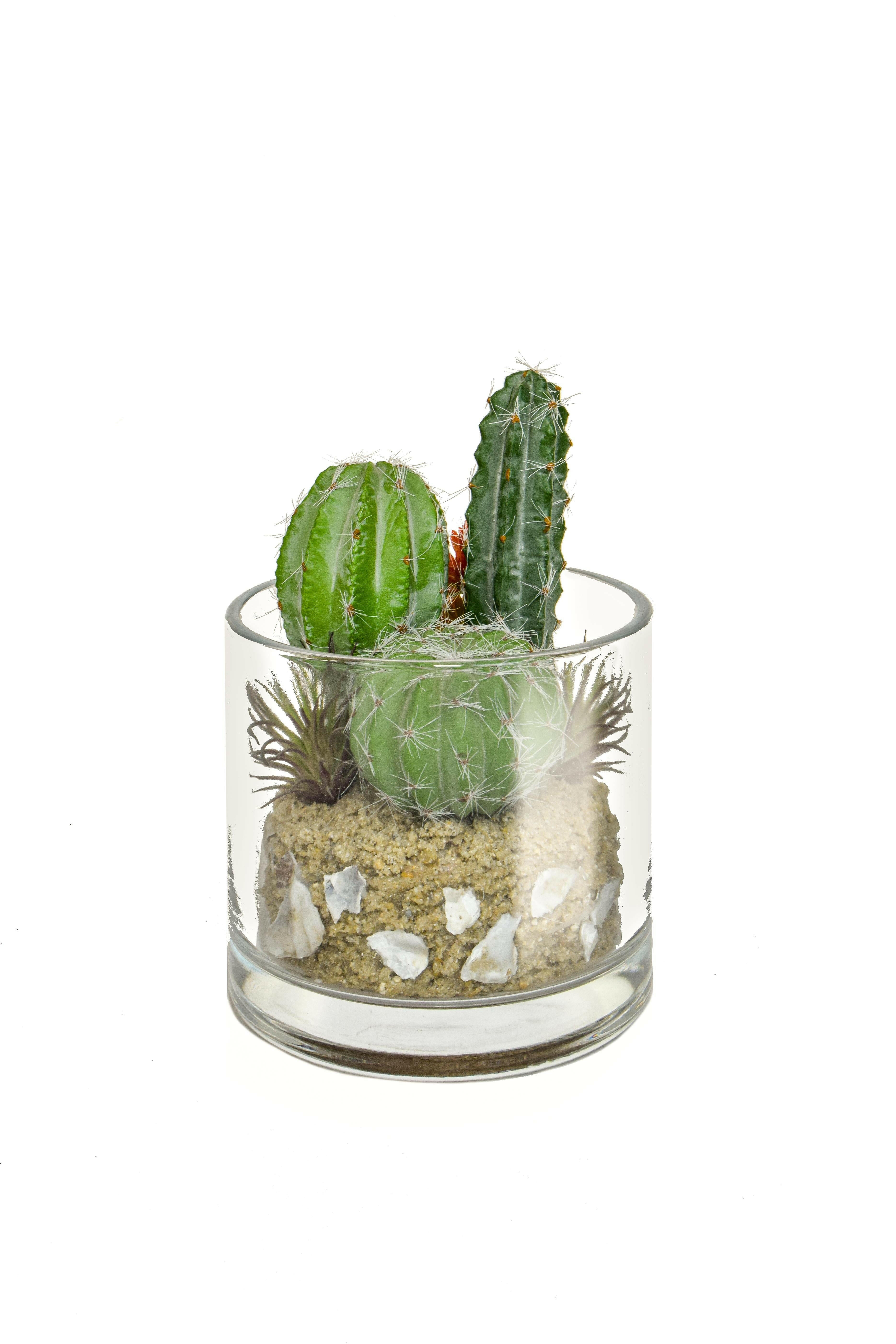 Artificial Cactus Mix in Glass Vase