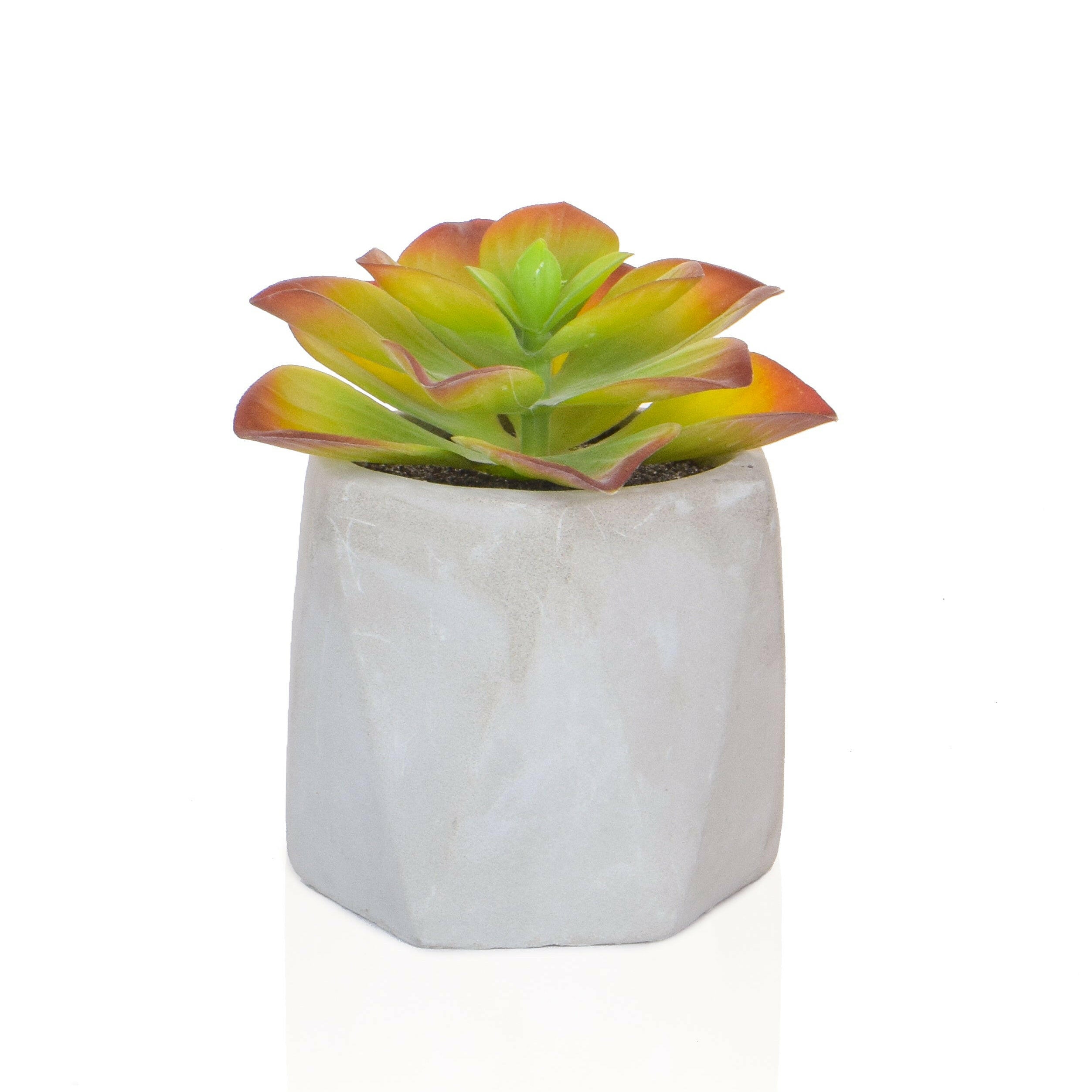 Artificial Mixed Succulent in White Pot