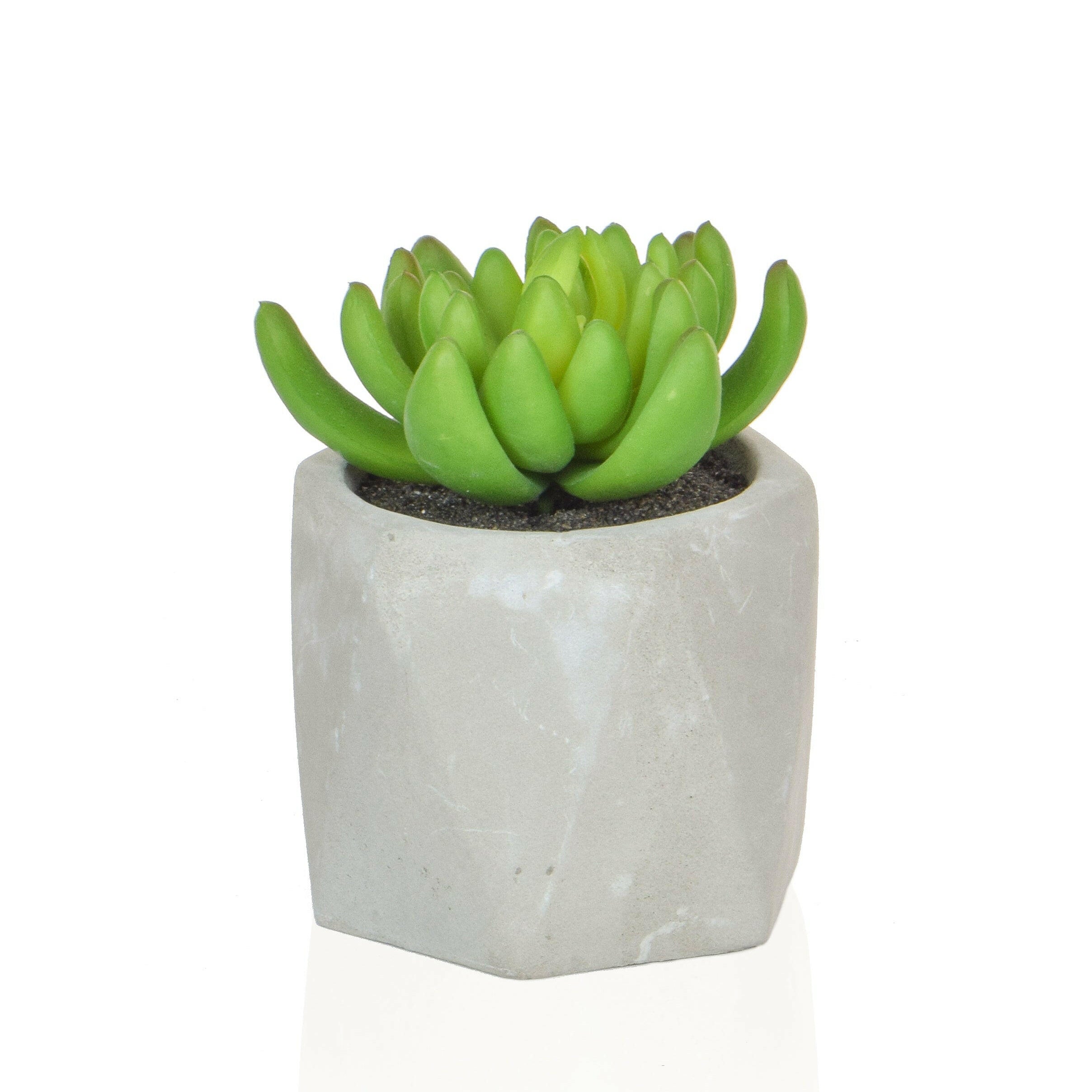 Artificial Mixed Succulent in White Pot