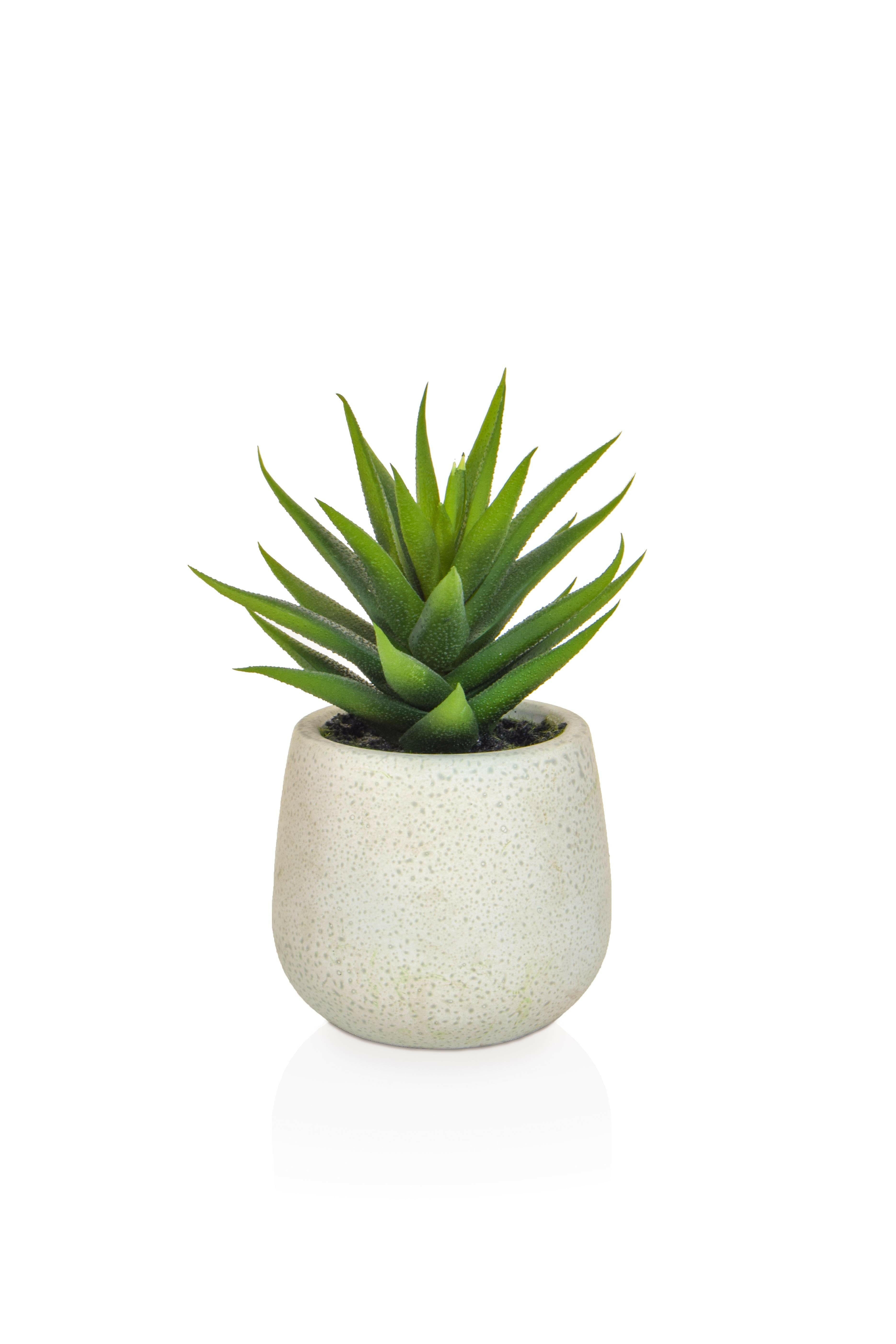 Artificial Aloe in White Pot