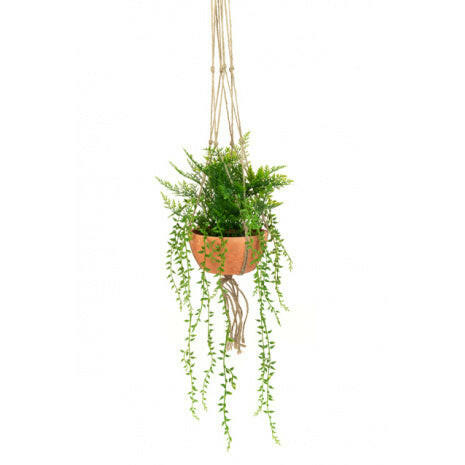 Artificial Hanging Potted Fern & Senecio