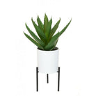 Artificial Aloe Pot and Stand