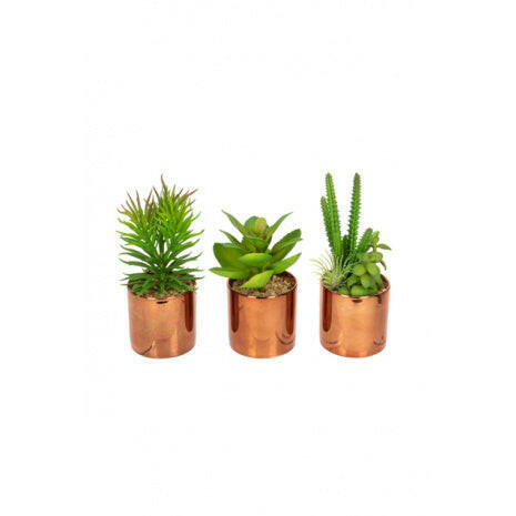 Artificial Succulents in Copper Pots 3 Pack