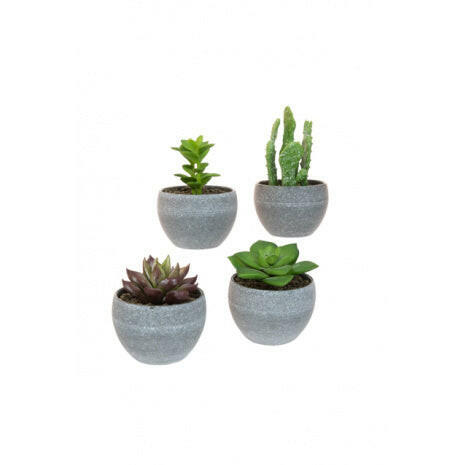 Artificial Potted Mini Succulent x4 Pack