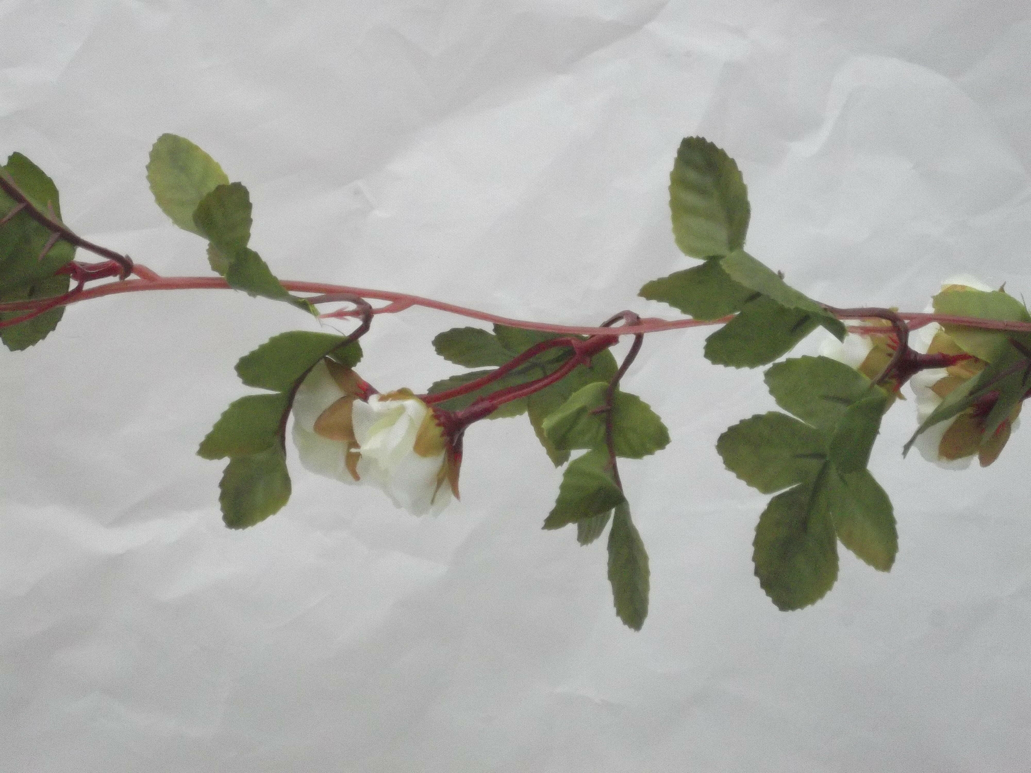 Artificial Silk Rose Bud and Leaf Garland