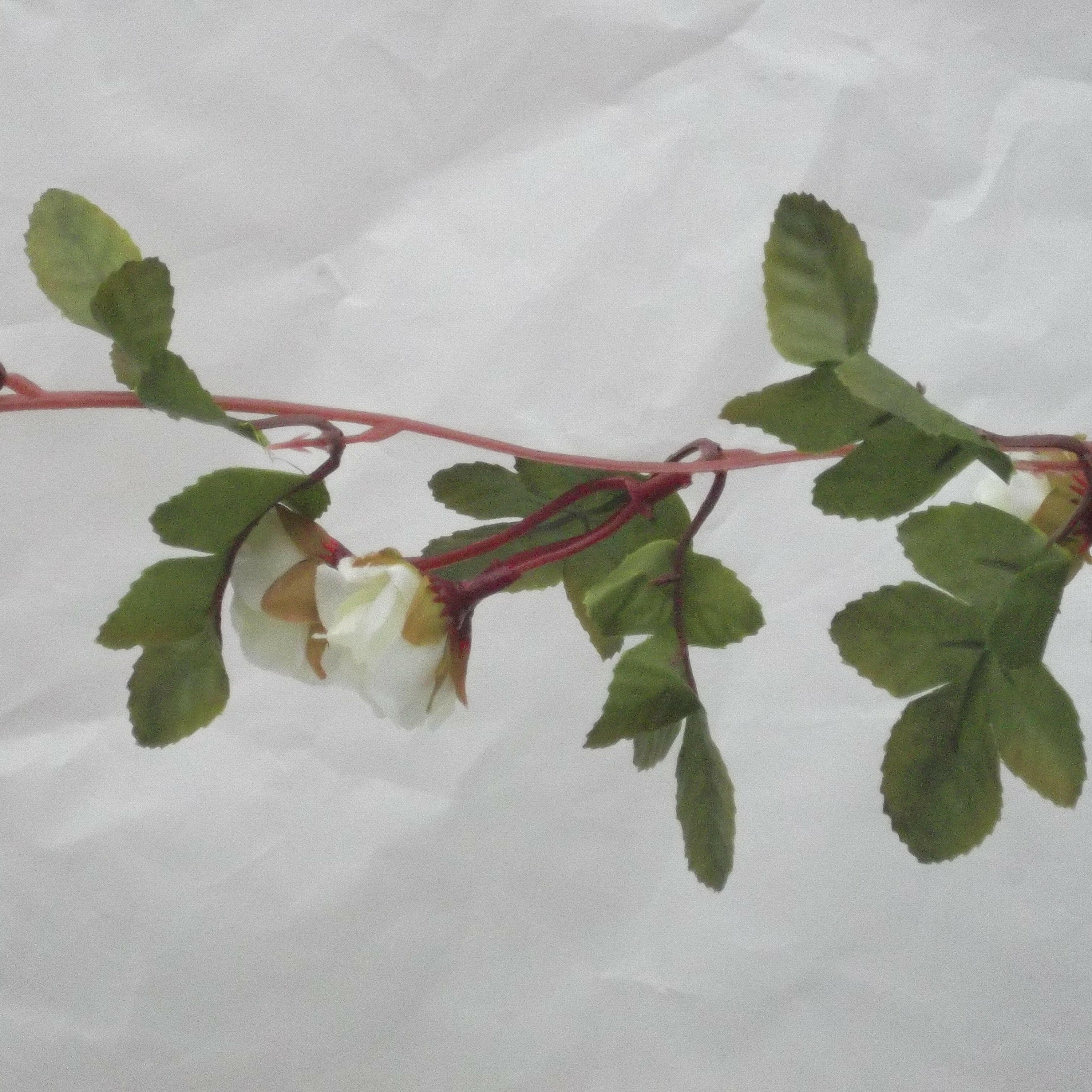 Artificial Silk Rose Bud and Leaf Garland