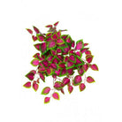 Artificial Coleus Trail UV