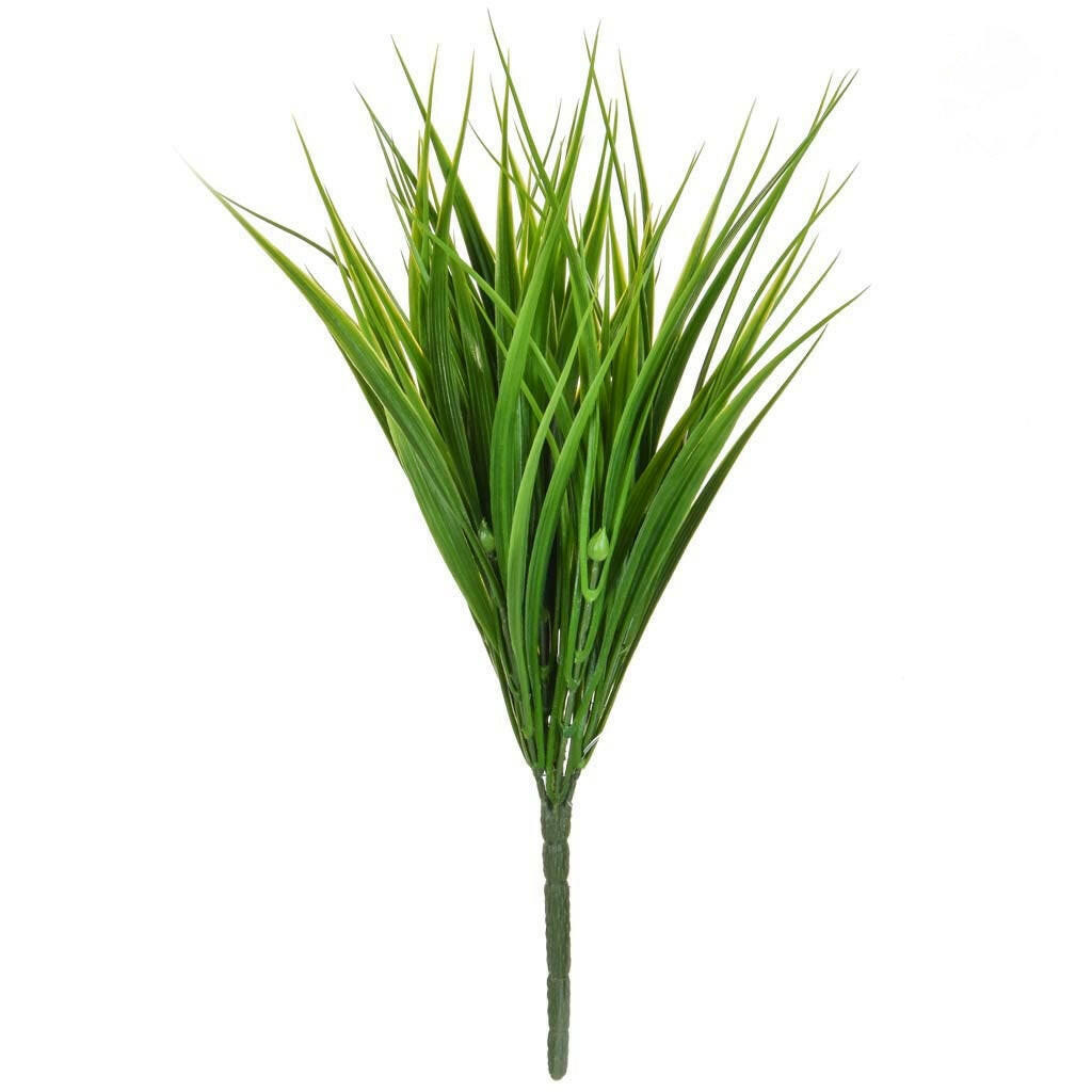 Vanilla Grass FR