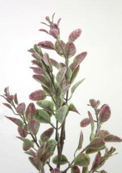 Artificial Hedge Spray