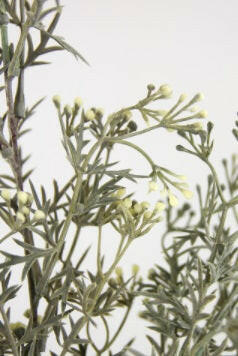 Artificial Fine Bud Greenery Spray