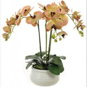 Artificial Triple Phalaenopsis Orchid Arrangement In Lined Bowl