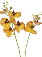 Artificial 2 Stem Phalaenopsis Orchid Arrangement