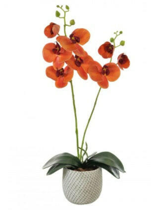 Artificial 2 Stem Phalaenopsis Orchid Arrangement