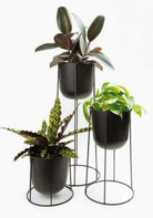 Plant Stand with Pot