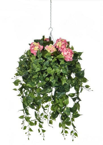 Artificial Silk Hydrangeas with Pothos Trails Hanging Basket FR