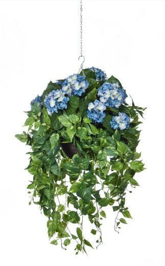 Artificial Silk Hydrangeas with Pothos Trails Hanging Basket FR