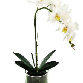 Artificial Silk Small Phalaenopsis Orchid in a Glass Vase