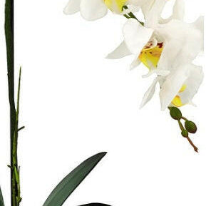 Artificial Silk Small Phalaenopsis Orchid in a Glass Vase
