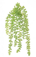 Artificial Trailing String Of Pearls