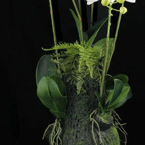 Artificial Silk Orchid Arrangement in a Moss Bag 