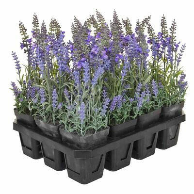 Artificial Lavender Plant