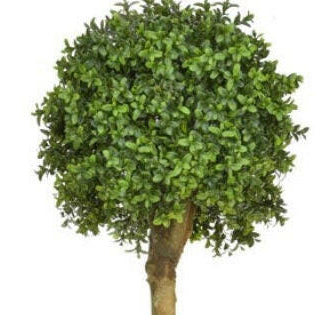 Artificial Topiary Buxus Double Ball Tree UV