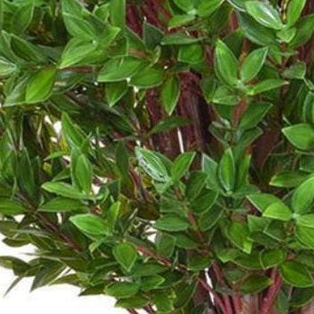 Artificial Topiary Privet Tree UV