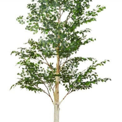 Artificial Silk Birch Tree