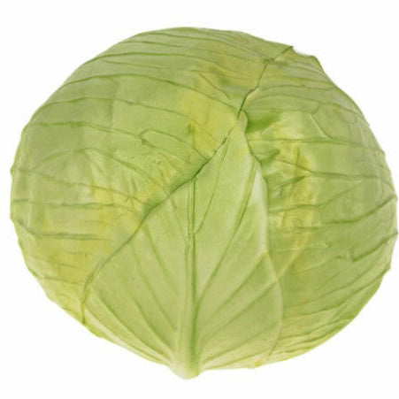 Artificial Cabbage