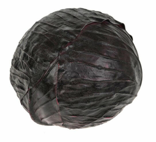 Artificial Cabbage