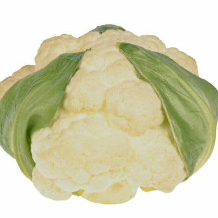 Artificial Cauliflower