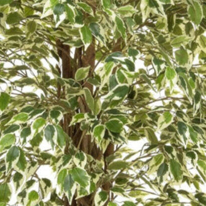 Artificial Silk Ficus Liana Tree